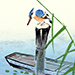 Insho Domoto Gallery
